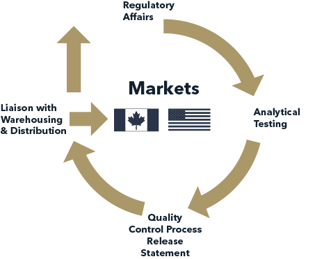 Exporting to Canada-Integrated Services Model