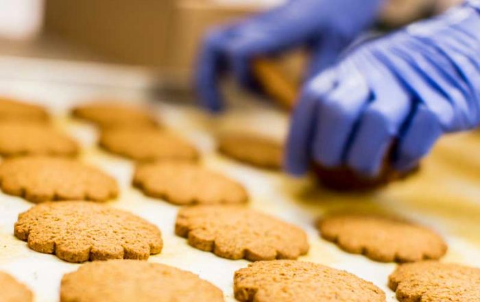 Mycotoxins in Food Products